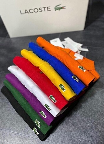 Lacoste T-shirt 