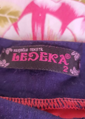 Pembe Uzun Kollu Hamile Bluzu - Görsel 2