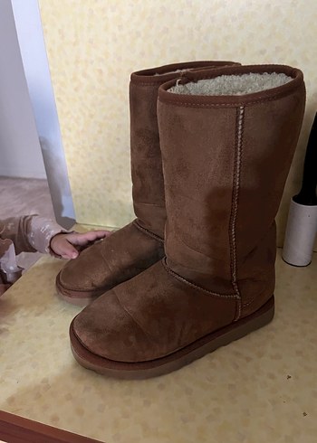 Ugg 36