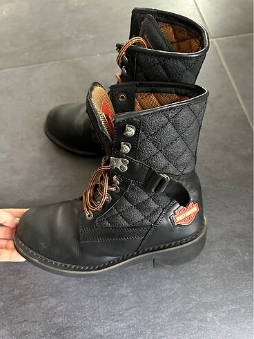 38 Beden Harley davidson bot
