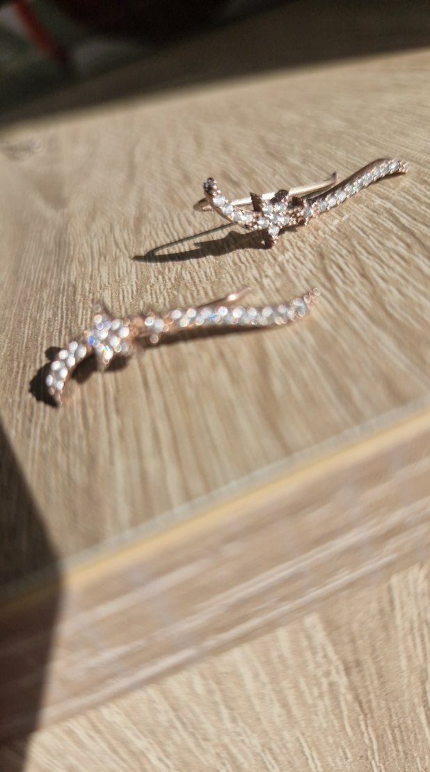 925 ayar gümüş Kadın küpesi - Görsel 5