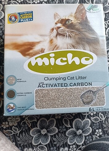 Micho kedi kumu