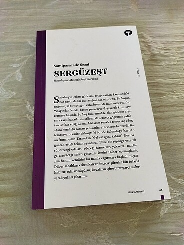sergüzeşt