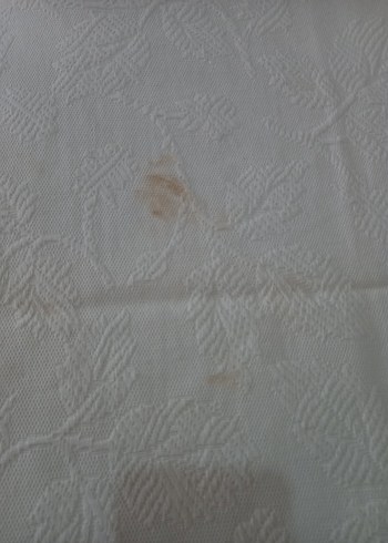 Kanaviçe işlemeli Pike takımı - Görsel 10