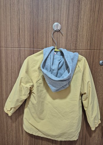 Sarı renk Erkek Çocuk zara ceket - Görsel 3