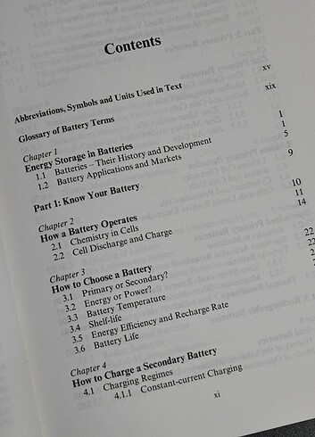 Beden Renk Pilleri Anlamak: 28 (RSC Paperbacks) R M Dell (Yazar), D A J Ran