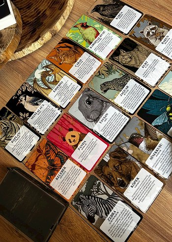 animals Temalı tarot destesi - Görsel 3