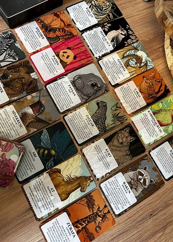 animals Temalı tarot destesi - Görsel 4