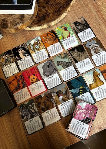 animals Temalı tarot destesi - Görsel 2