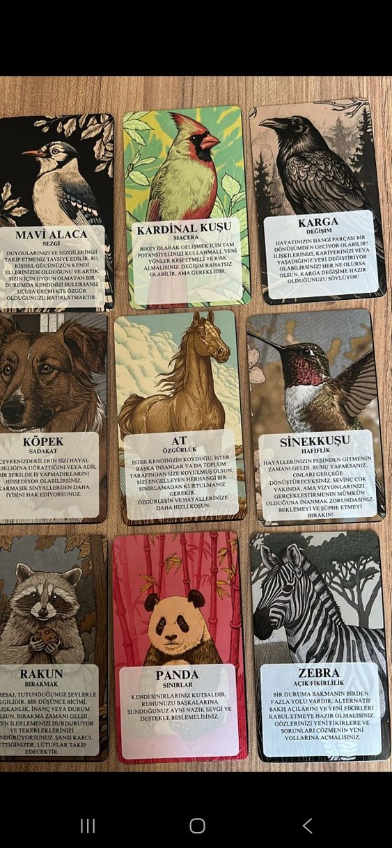animals Temalı tarot destesi - Görsel 5
