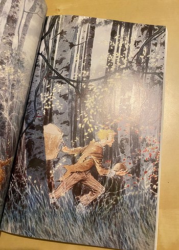 Beden Yıldız Tozu - Neil Gaiman ve Charles Vess