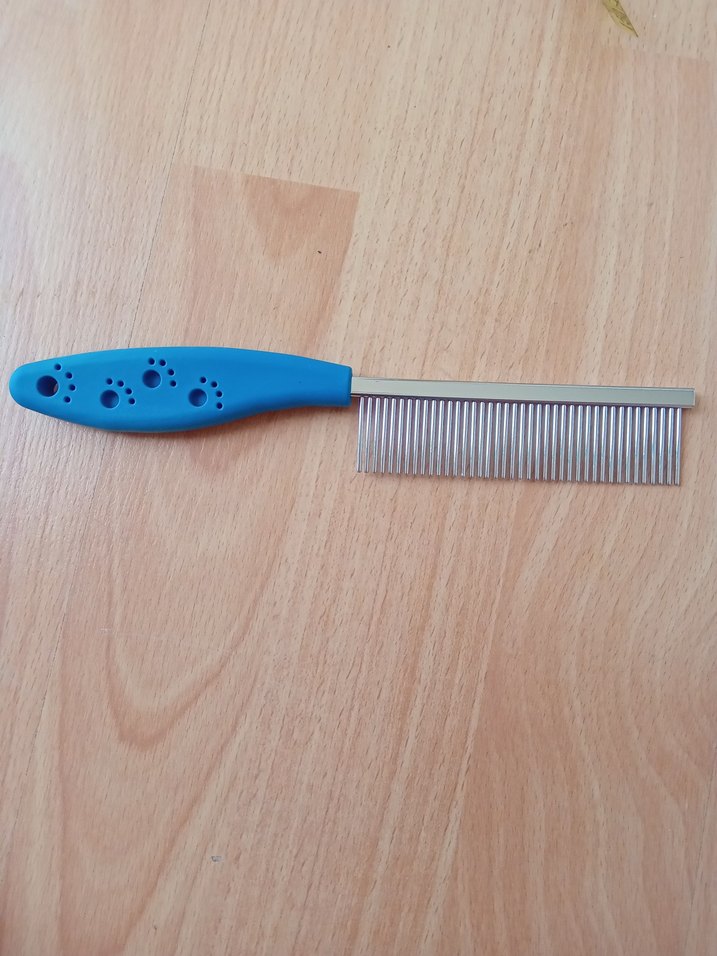 Mavi Kedi Tarağı - Görsel 3