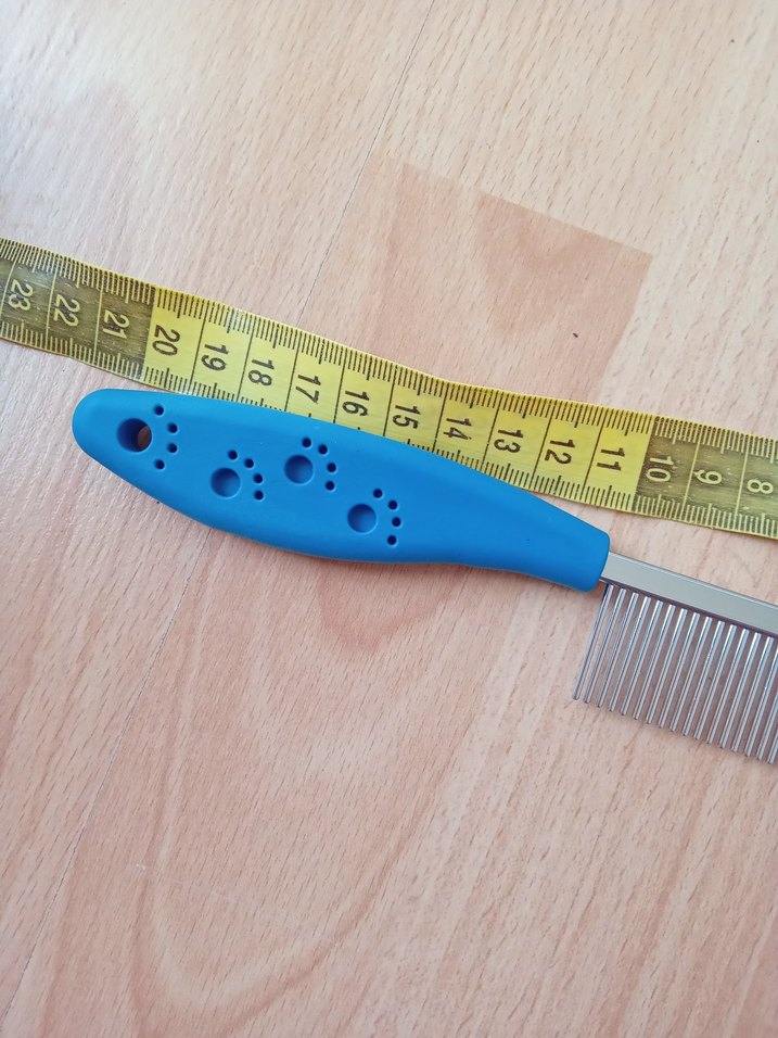 Mavi Kedi Tarağı - Görsel 4