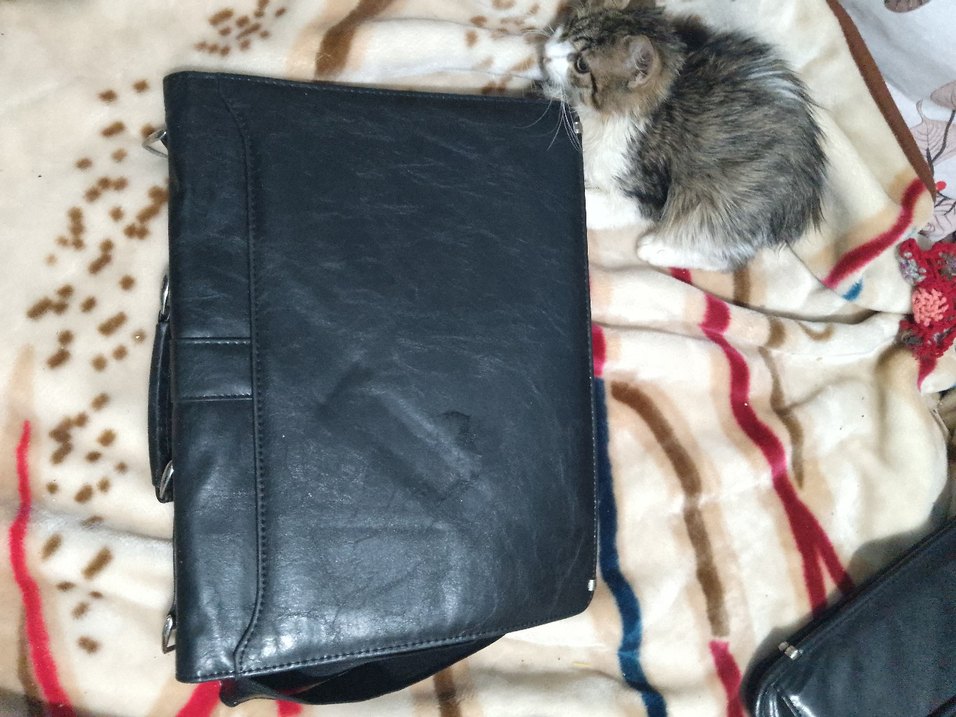 Tokalı Siyah Erkek Evrak Çantası - Görsel 5