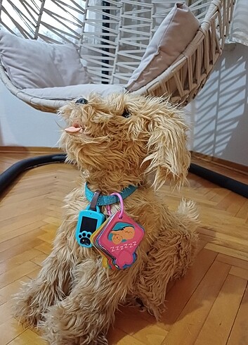 MOJİ AKILLI KÖPEK