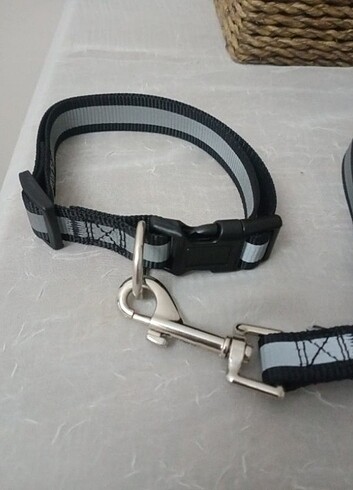  Köpek tasması 