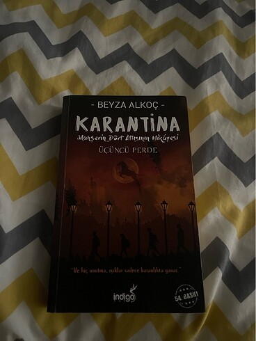 Beyza alkoç karantina 3