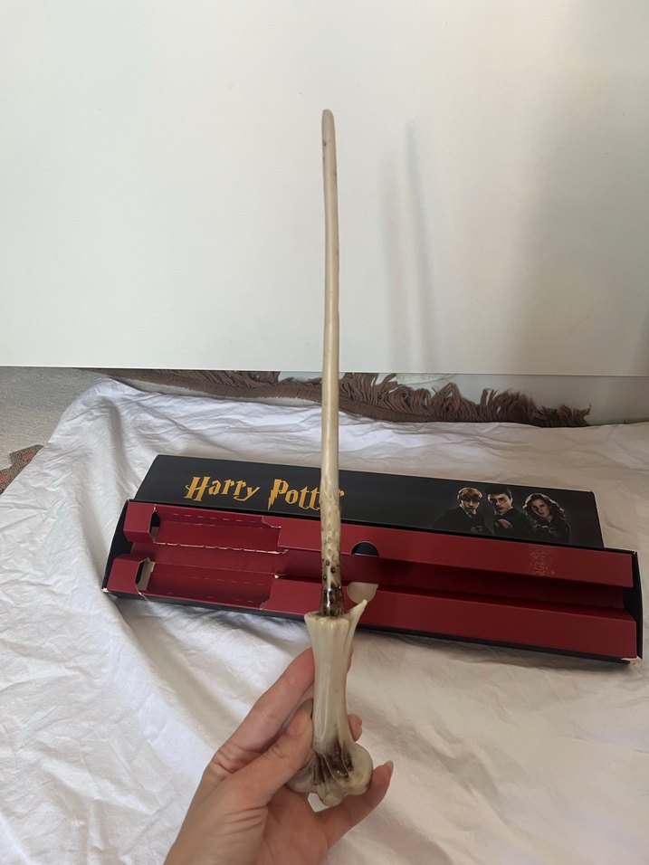 Harry Potter Asa - Görsel 3