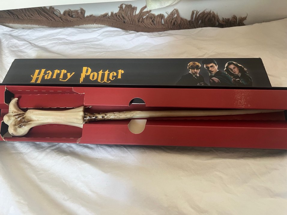 Harry Potter Asa - Görsel 2