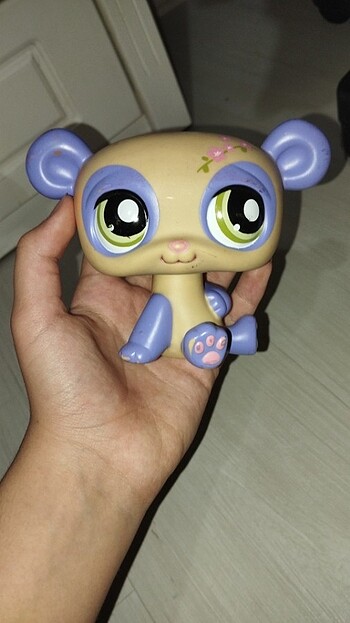 Lps decominiş