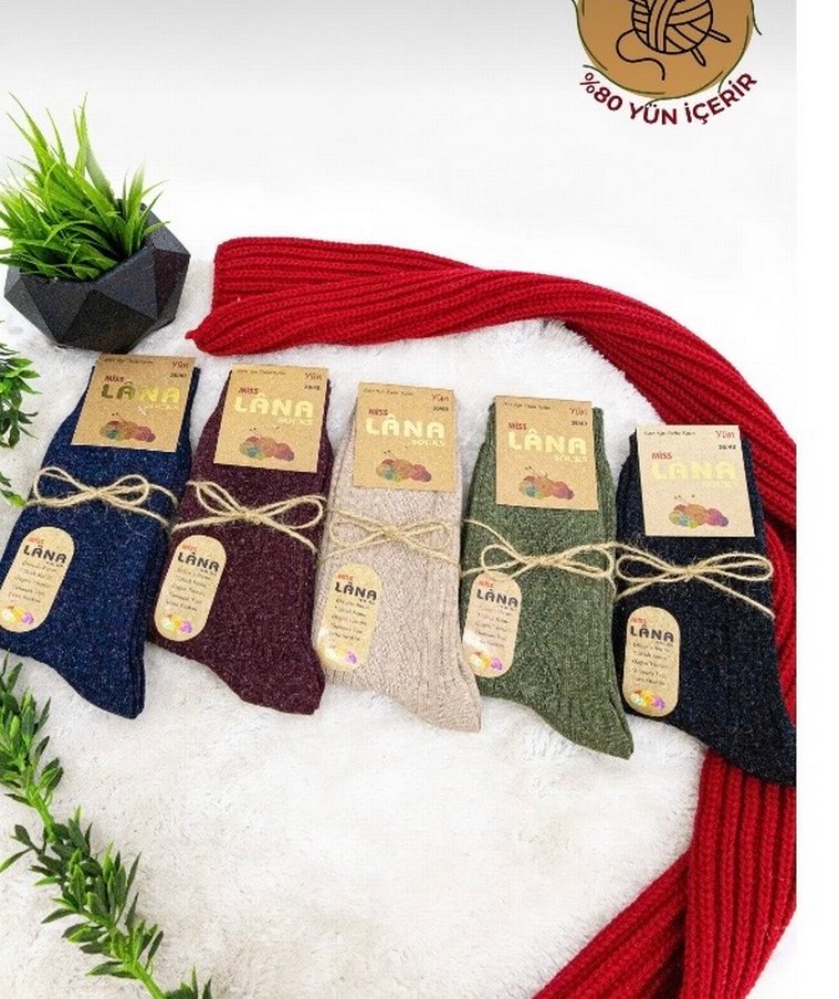 Renkli Nakışlı Kısa Kadife Çorap 5 Çift - Görsel 2