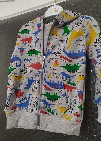 Dinozor Desenli Erkek Çocuk Kapüşonlu Fermuarlı Ceket 