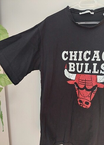 universal Beden siyah Renk Chicago Bulls Siyah T-shirt