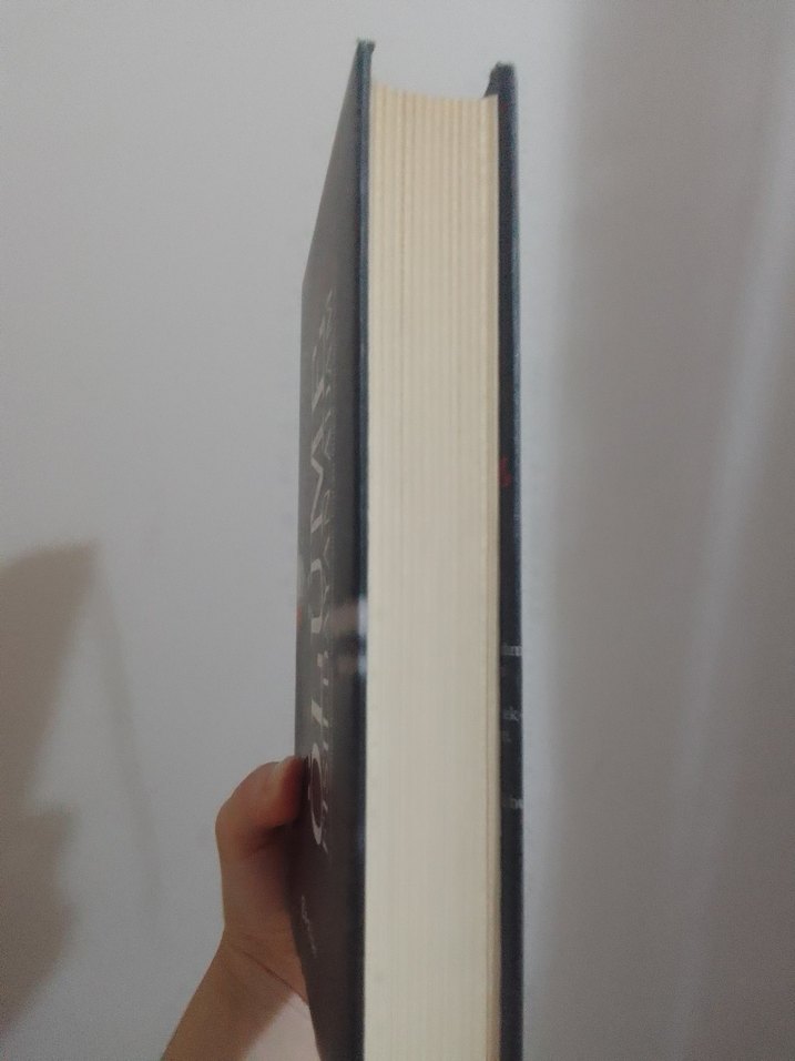 Ölüme Fısıldayan Adam - Roman - Görsel 3