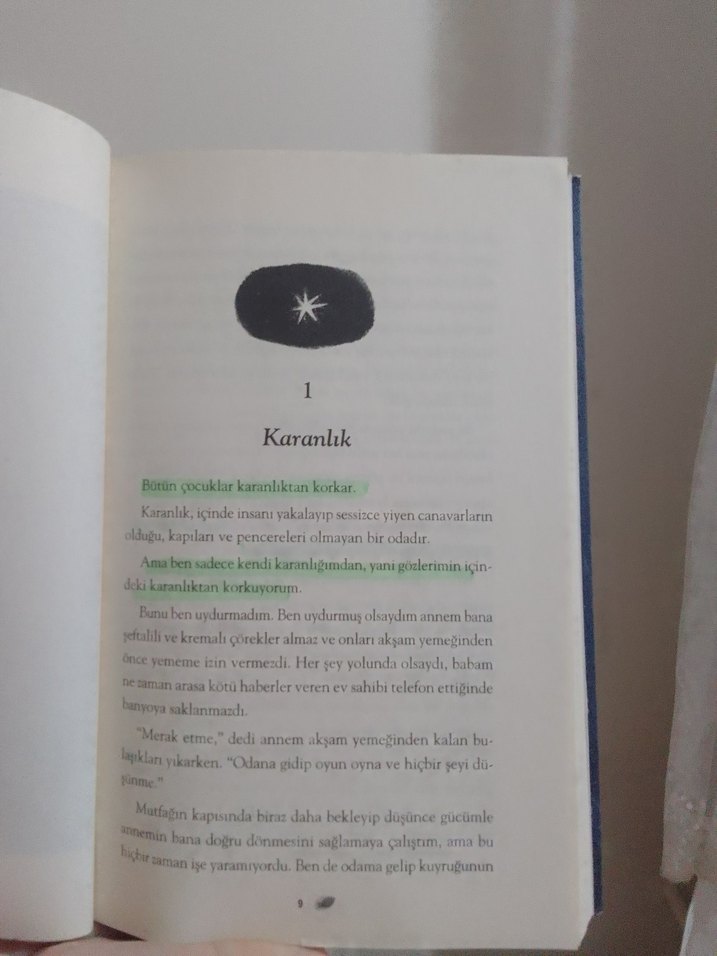 Kiraz Ağacı İle Aramızdaki Mesafe - Görsel 3