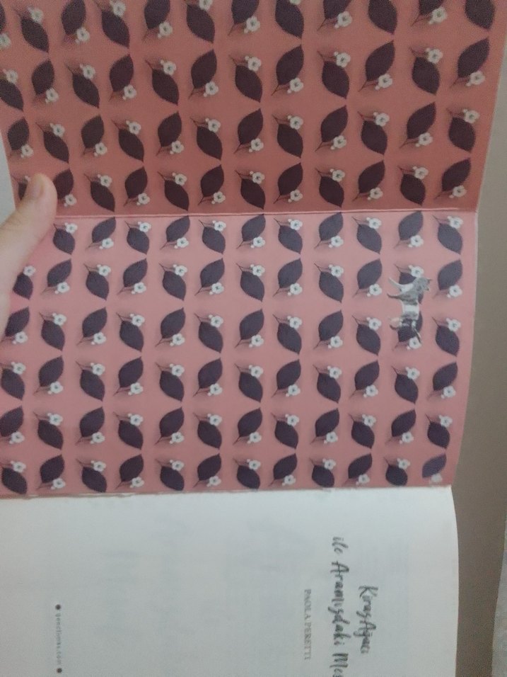 Kiraz Ağacı İle Aramızdaki Mesafe - Görsel 2