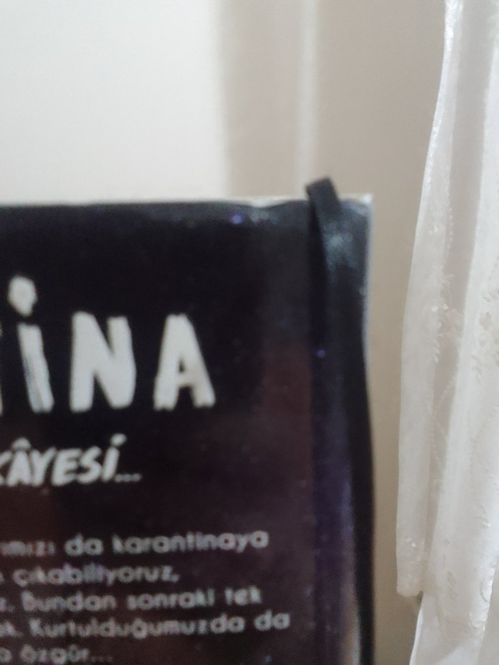 Karantina - Beyza Alkoç - Görsel 4