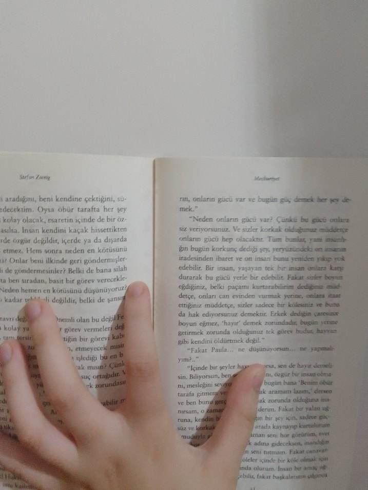 Mecburiyet - Stefan Zweig - Görsel 4