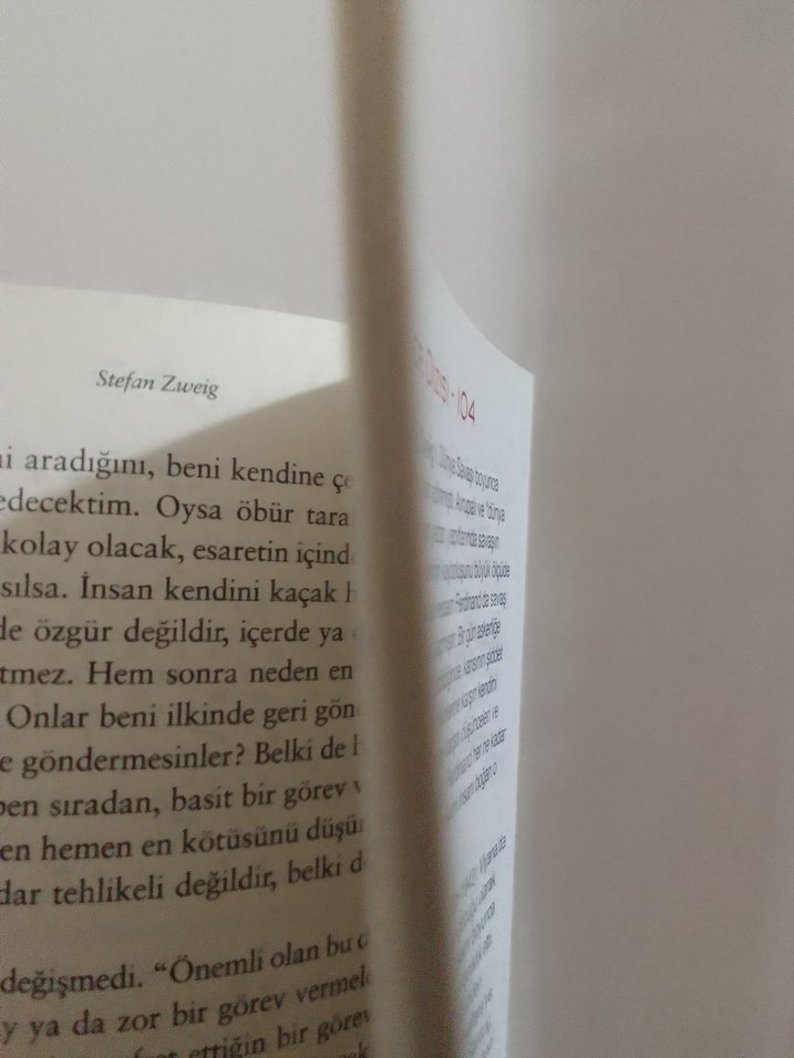 Mecburiyet - Stefan Zweig - Görsel 3