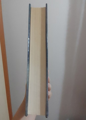 Çığlık Romanı - Görsel 2