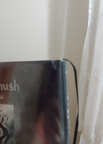 Çığlık Romanı - Görsel 4