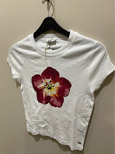 m Beden Pull&Bear tshirt