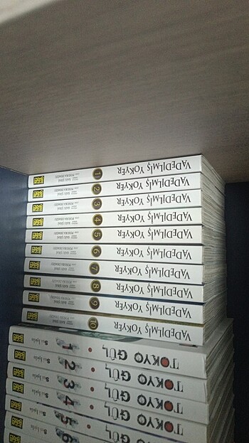 Vadedilmiş yokyer manga