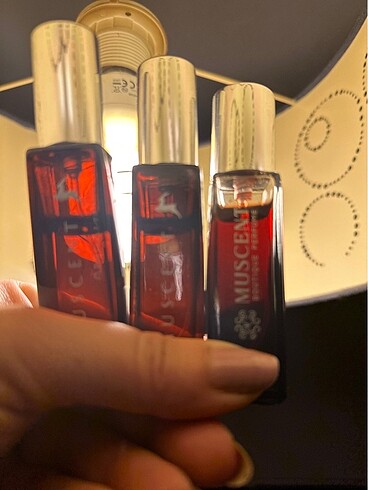 Muscent parfum niche seriden 15 ml 3 adet