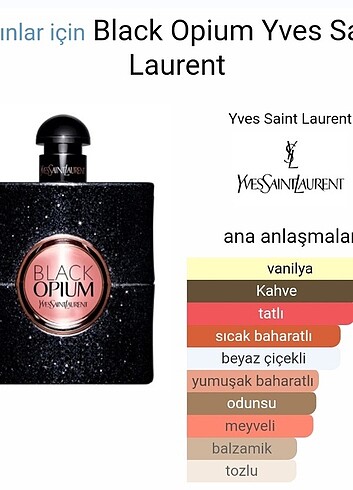 Beden Renk Orijinal Kadın Parfümü 30ml