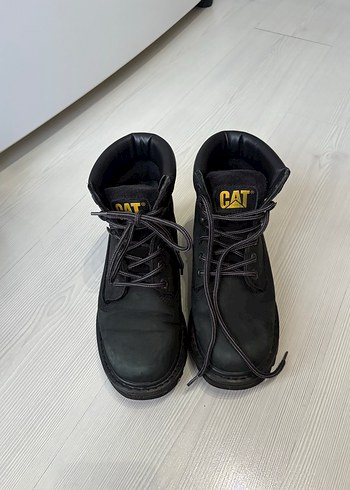 Cat 36