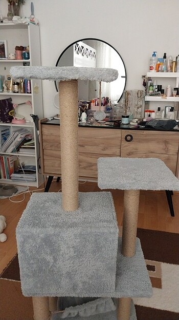kedi oyun evi