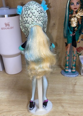 Beden Renk Monster high