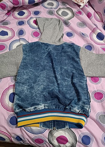 gri Hırka - Görsel 2