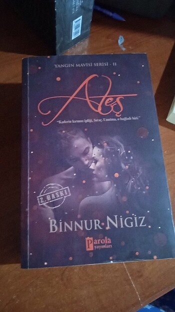 yangın mavisi serisi 1ve2 Binnur Nigiz