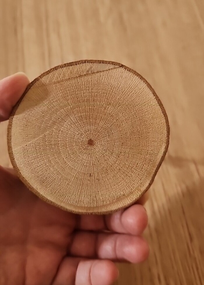 Kartlık veya kağıt tutacağı - Görsel 2