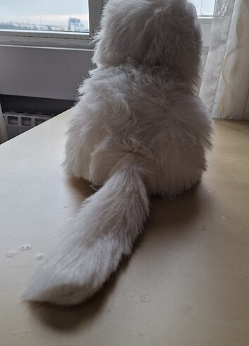  Beden PELUŞ KEDİCİK 