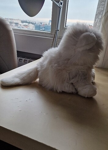  Beden Renk PELUŞ KEDİCİK 