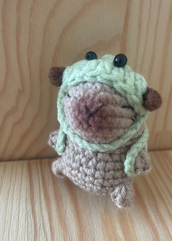 kapibara #capybara