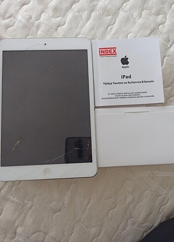 iPad mini 