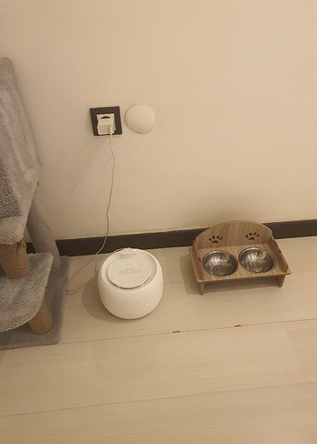 sıfır ayarında kedi akıllı su pinarı - Görsel 6